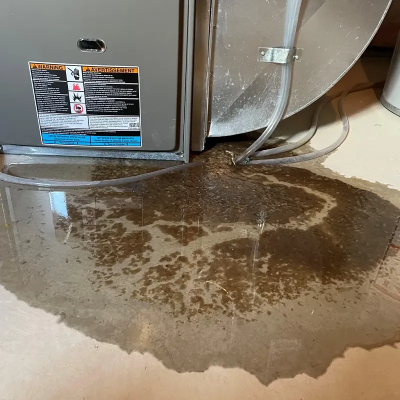 Appliance Leak Cleanup in Luquillo, PR
