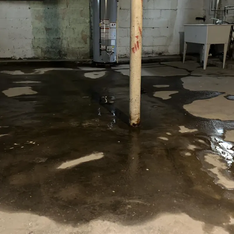 Emergency Water Extraction And Removal in Luquillo, PR